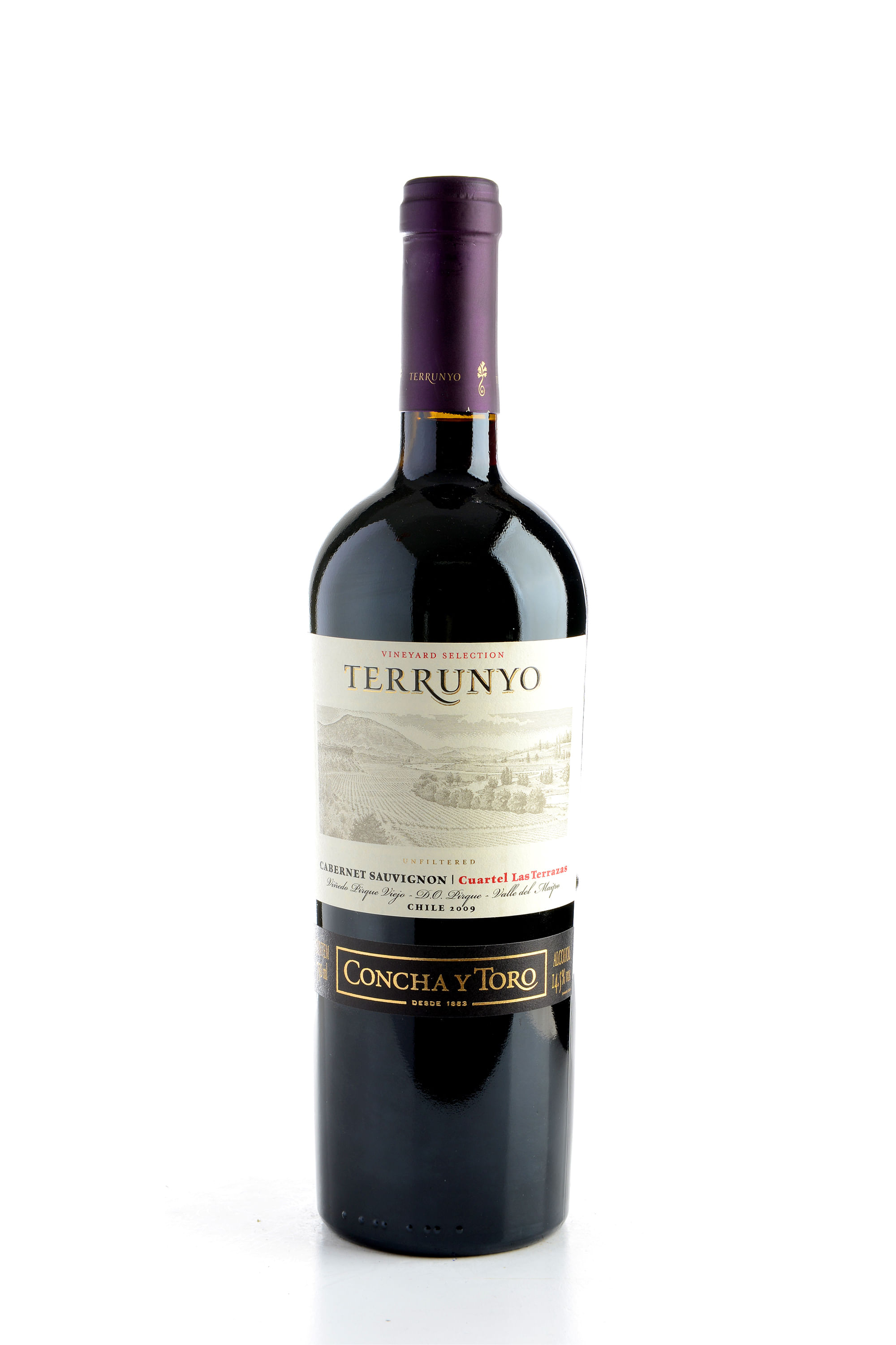 Vinho Terrunyo Cabernet Sauvignon