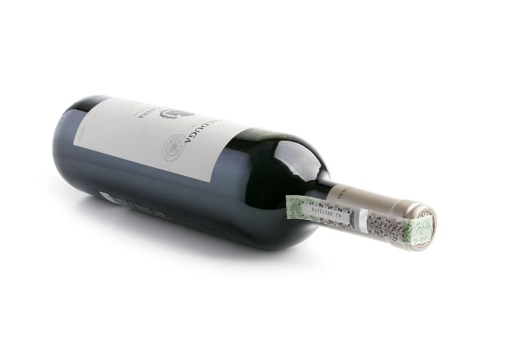 Vinho Casa Valduga Terroir Merlot 750ml