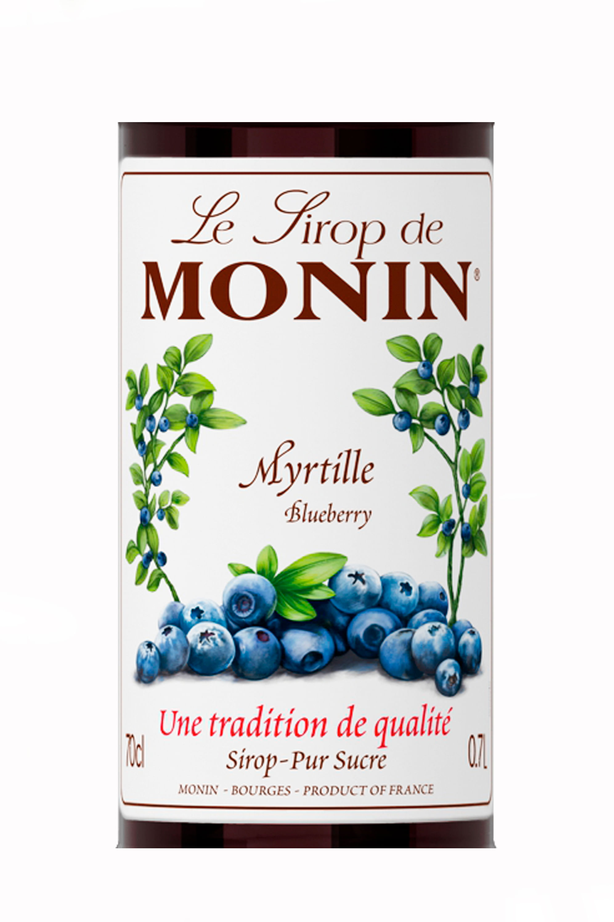 Xarope Monin Mirtilo 700ml