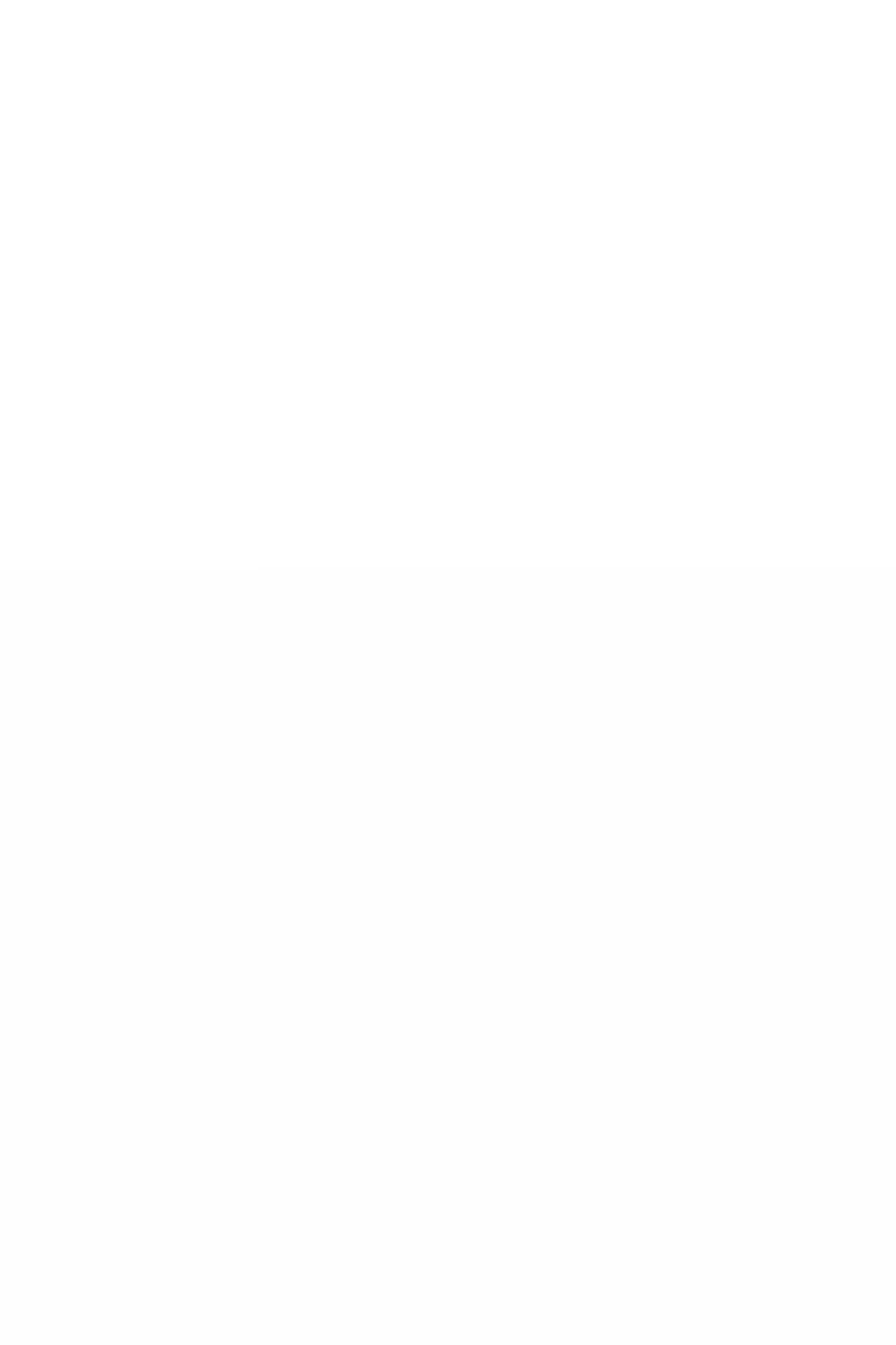 Pão de Mel Bauducco Cobertura de Chocolate 240 g