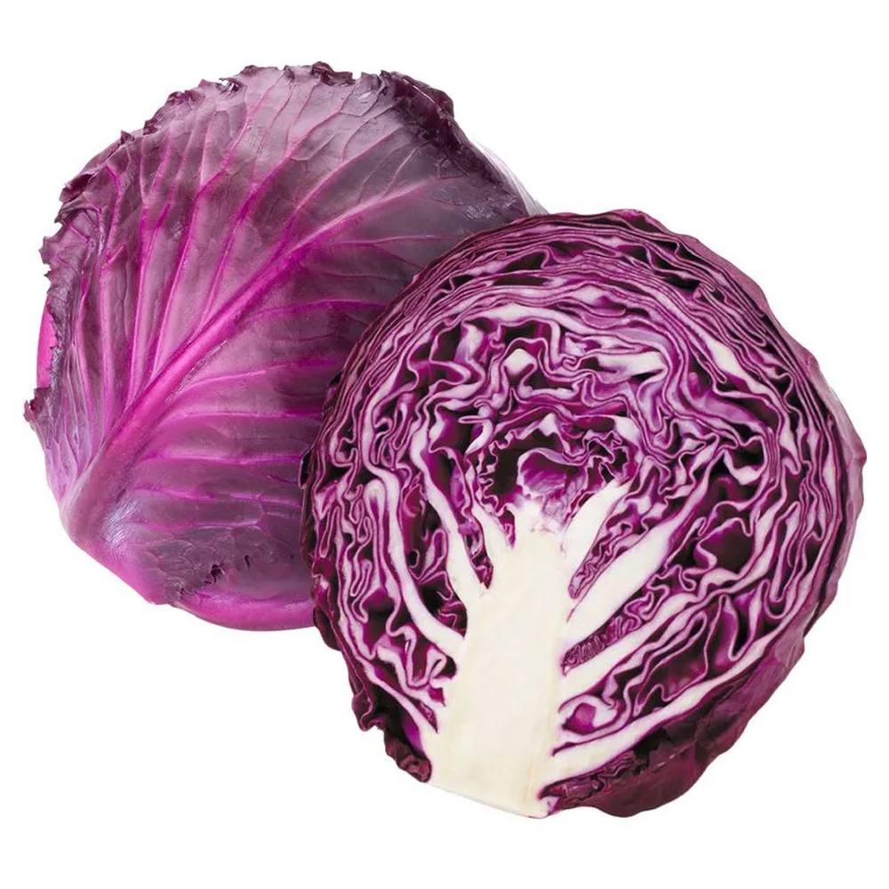 REPOLHO ROXO KG