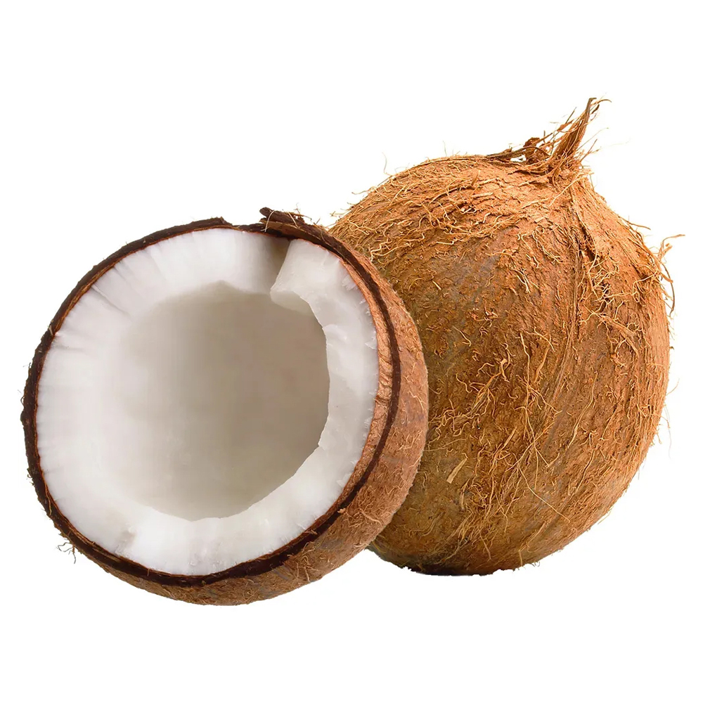 COCO SECO KG