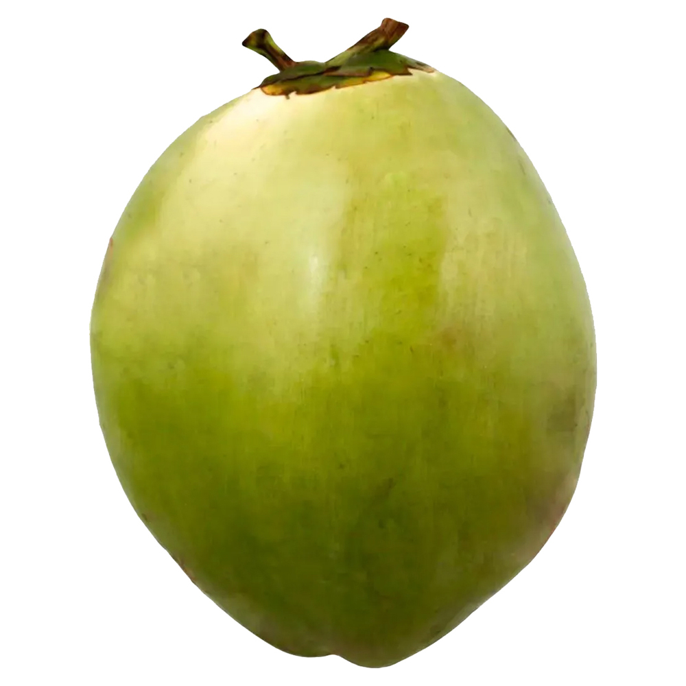 COCO VERDE UN