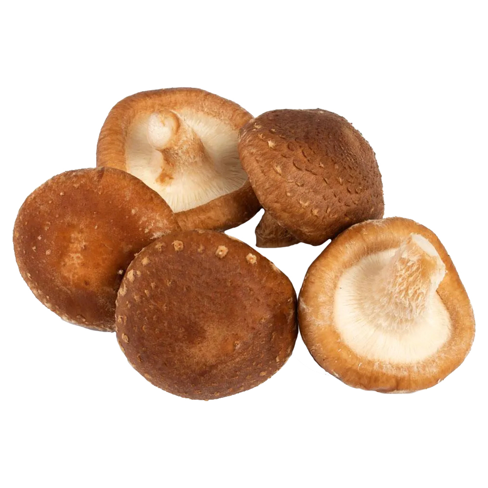COGUMELO SHITAKE 200G