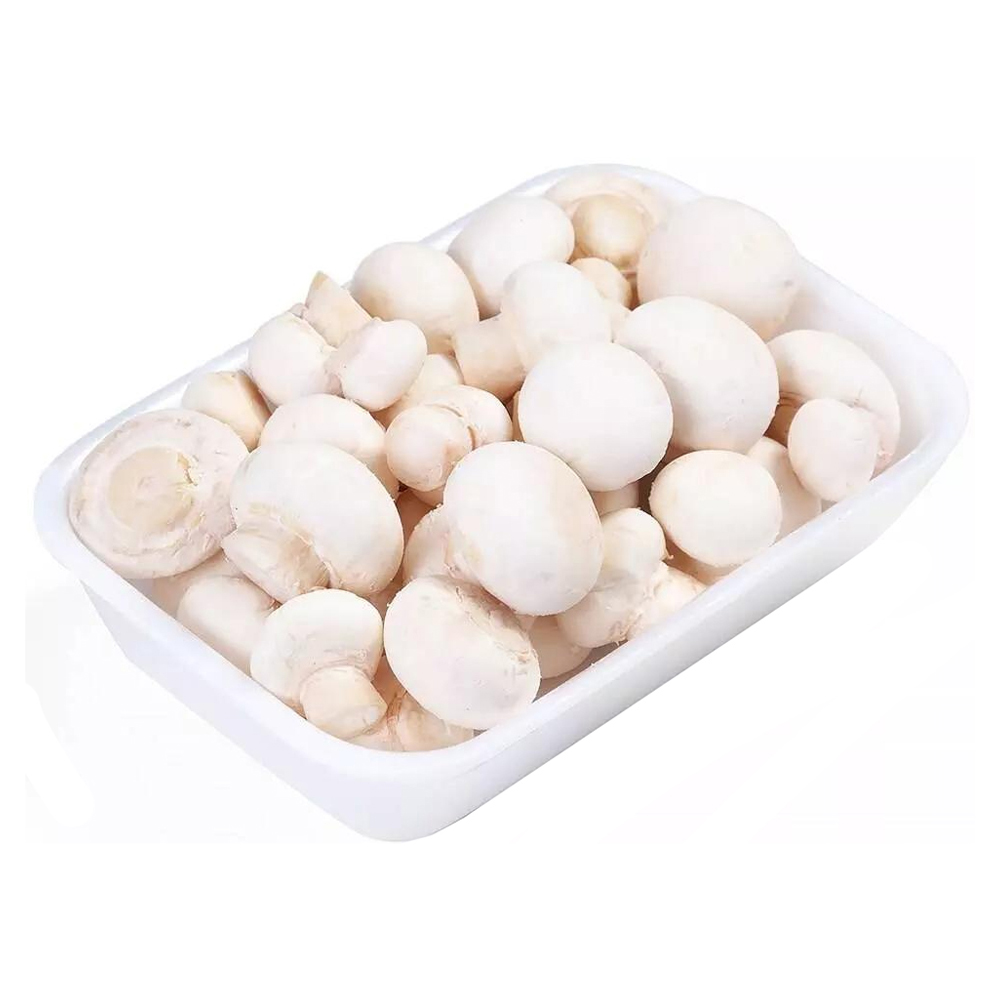 COGUMELO SUJO BDJ