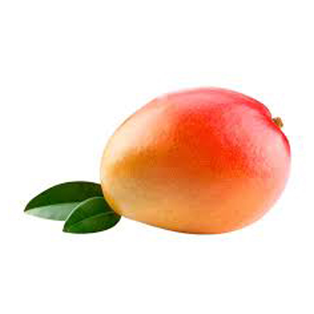 MANGA ROSA KG