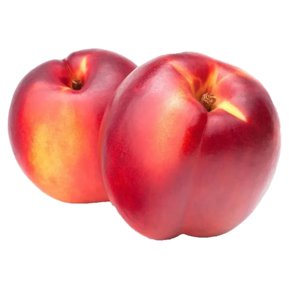 NECTARINA KG