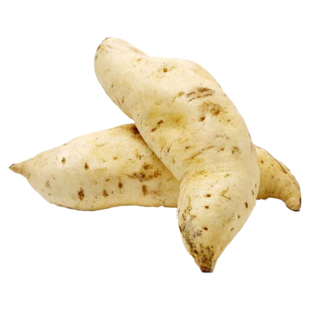 BATATA DOCE BRANCA KG