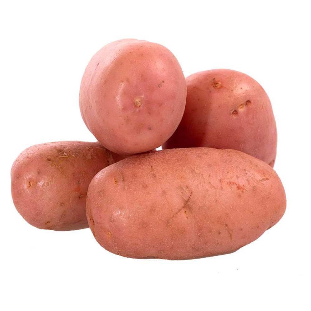 BATATA ASTERIX KG