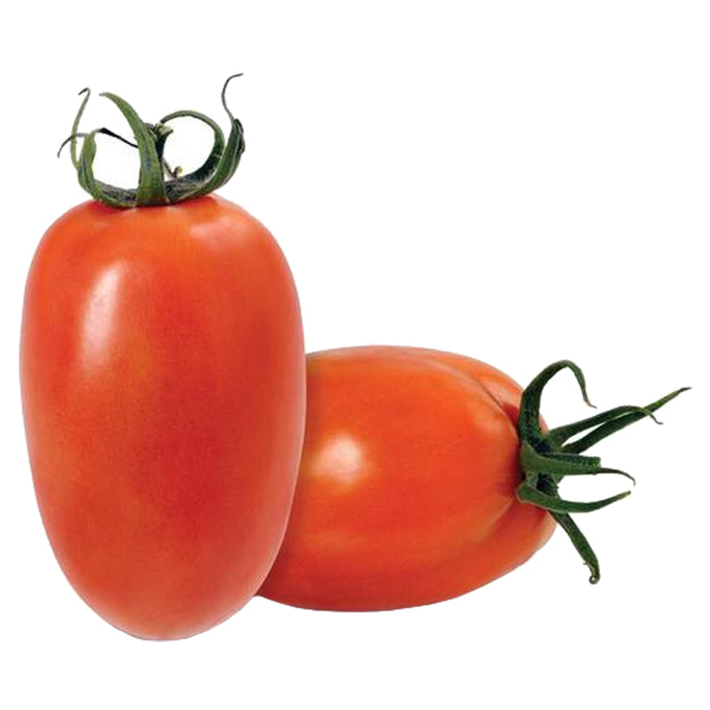 TOMATE ITALIANO