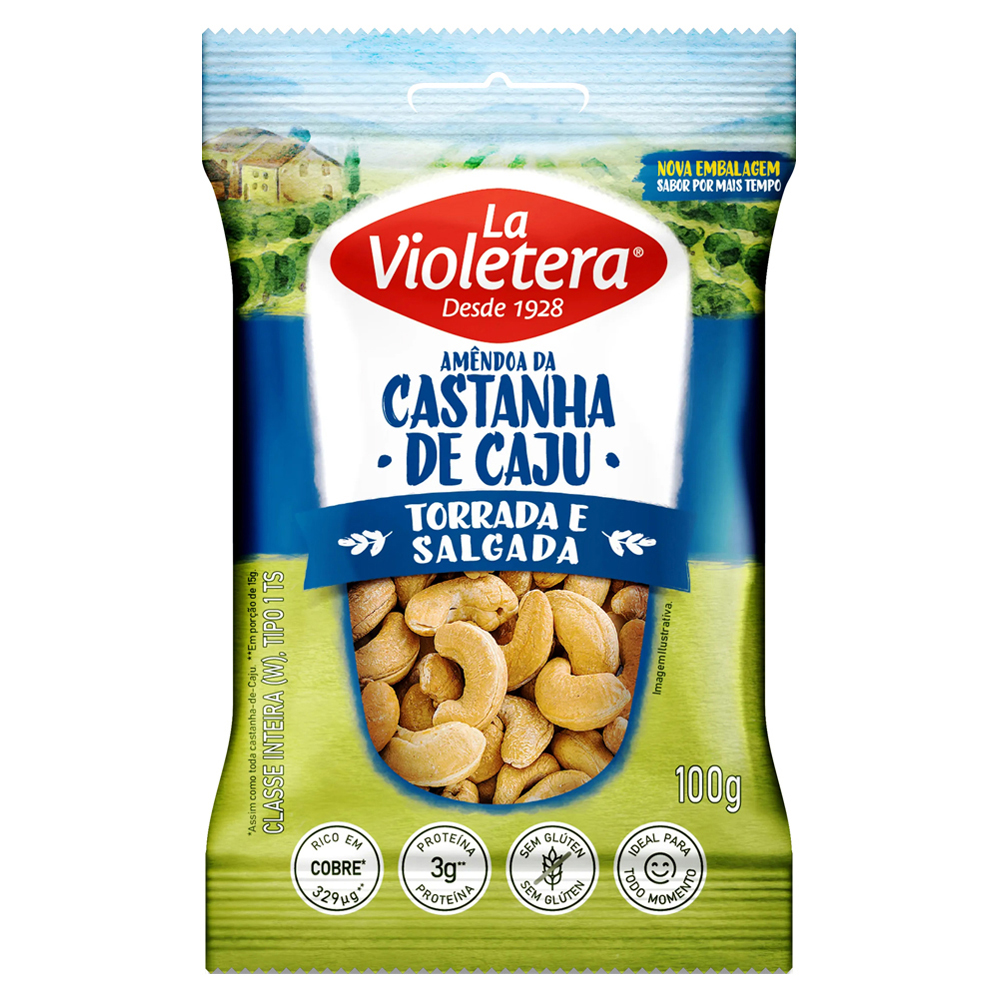 CASTANHA DE CAJU COMPANY TORRADA E SALGADA 100G