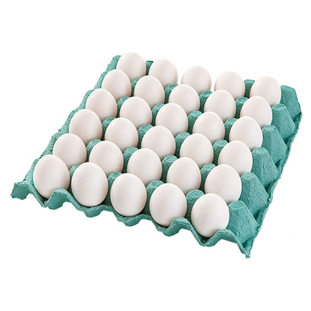 OVOS GRANDES BCO PVC DA FAMILIA C/30UN