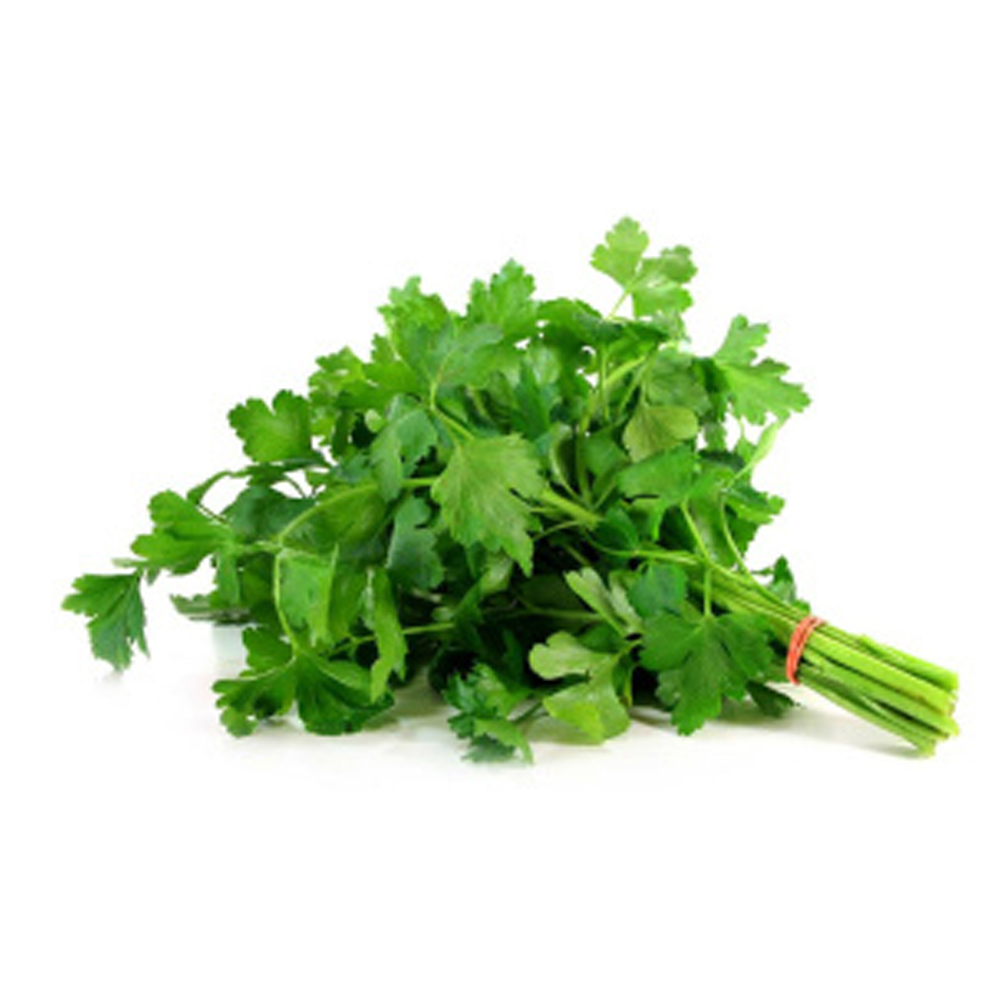 SALSA HIDROPÔNICA UN