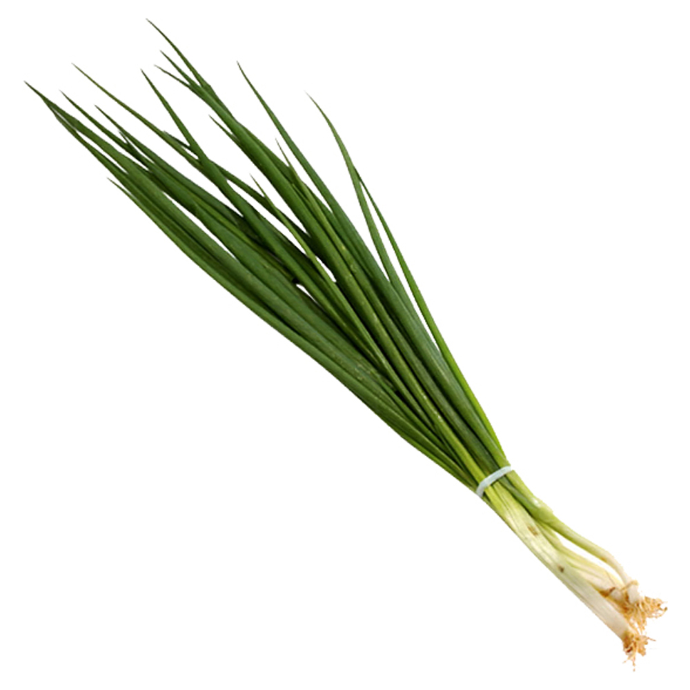CEBOLINHA ALFA VERDE UN