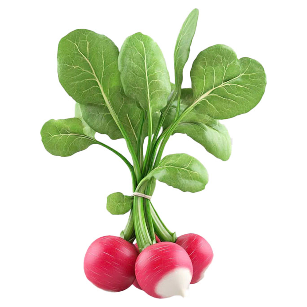RABANETE ALFA VERDE UN