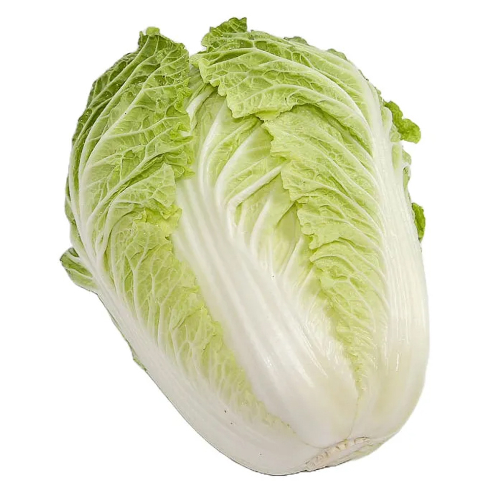 ACELGA ALFA VERDE UN 