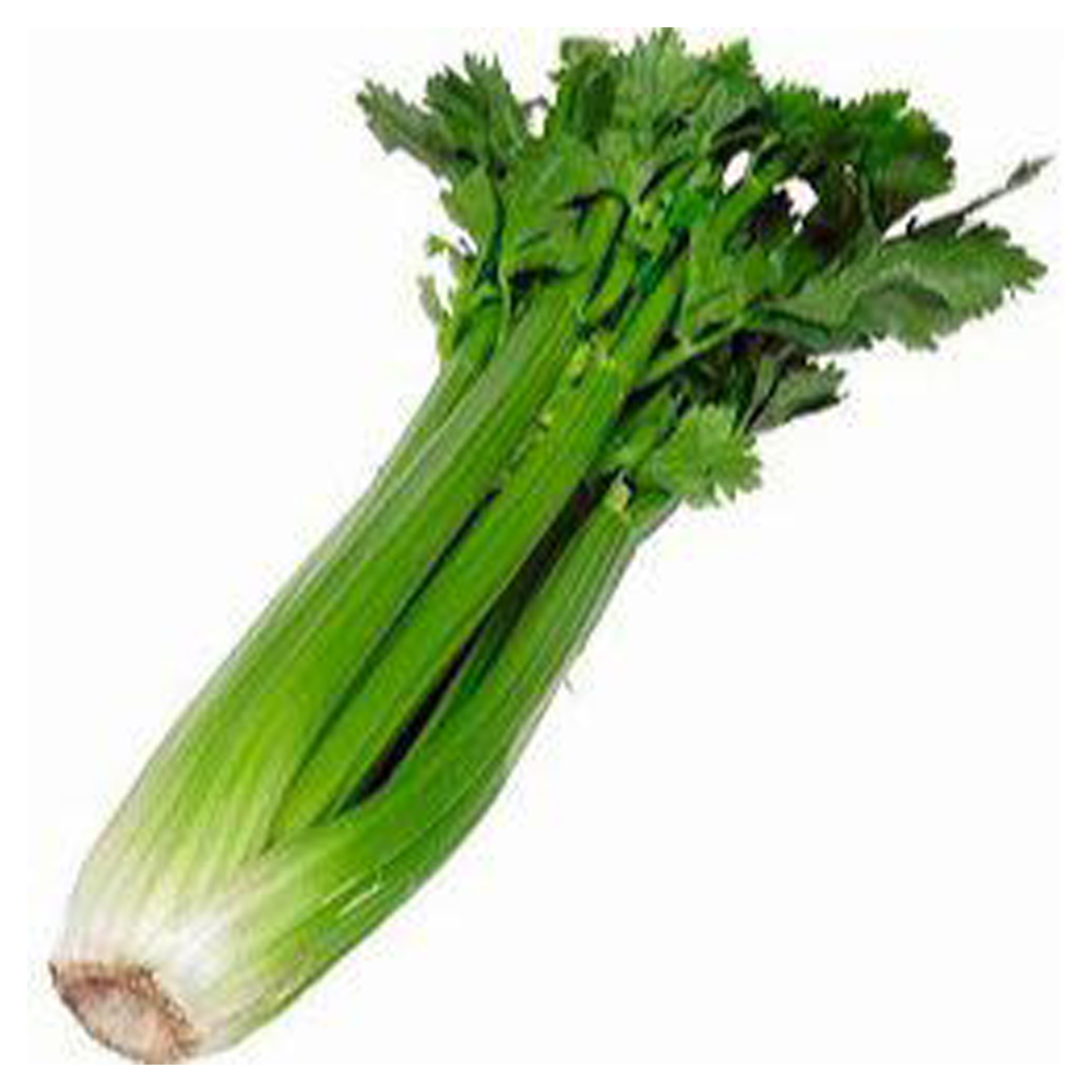SALSAO ALFA VERDE UN