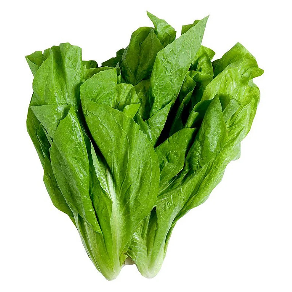 ALMEIRAO ALFA VERDE UN