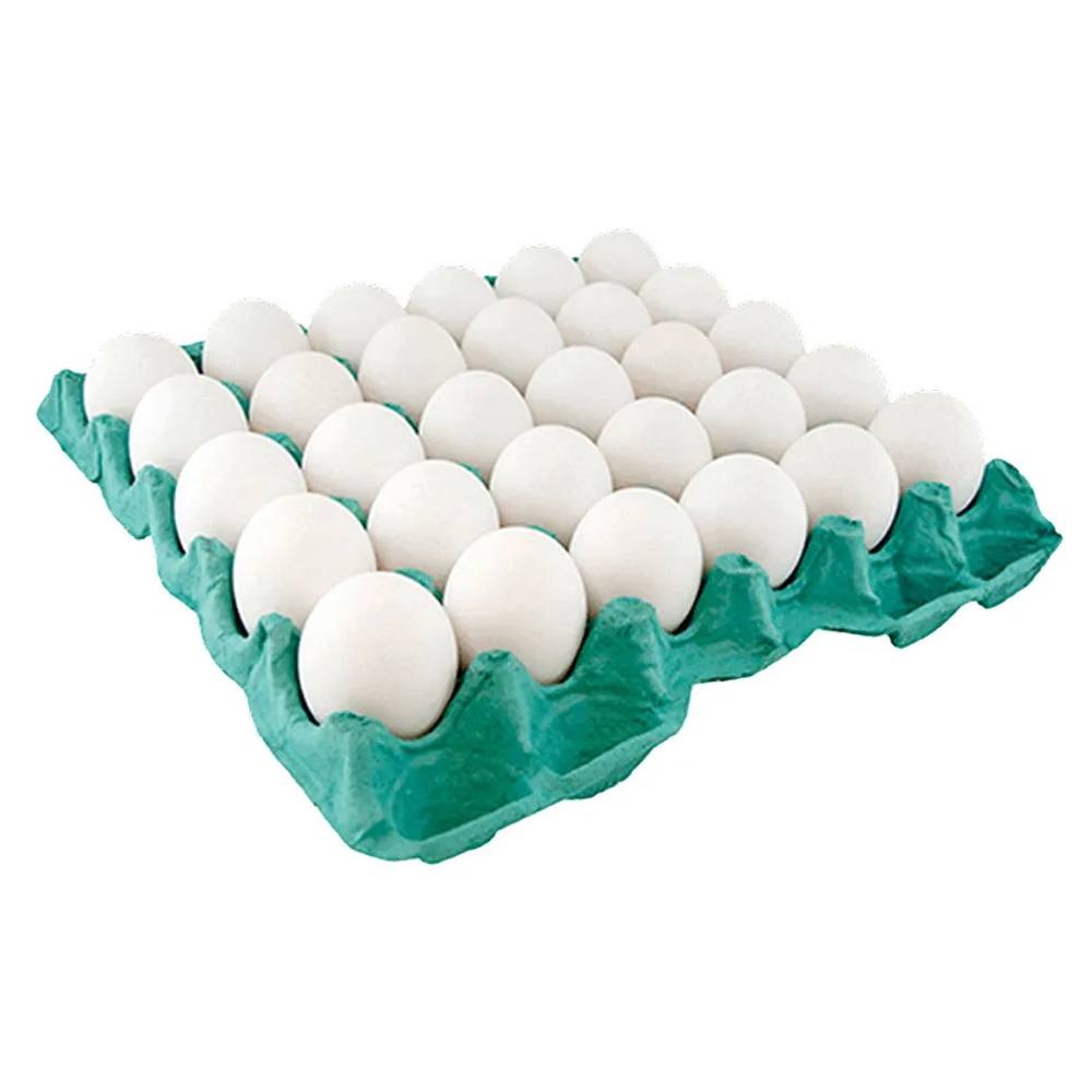 OVOS GRANDES BCO PVC DA FAMILIA C/20UN