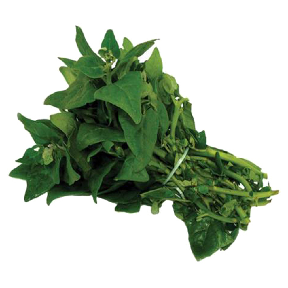 ESPINAFRE ORGANICO 180G 