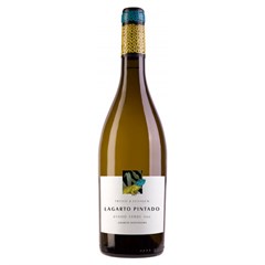 VIN PORT LAGARTO PINTADO BC 750ML