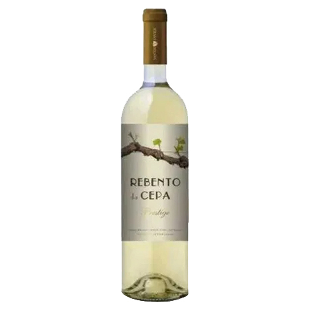 VINHO VERDE REBENTO DA CEPA BRANCO 750ML
