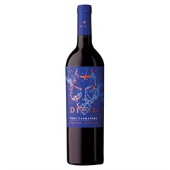 VIN CHIL DIABLO DEEP CARMENERE 750 ML